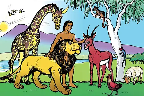 God Created Everything