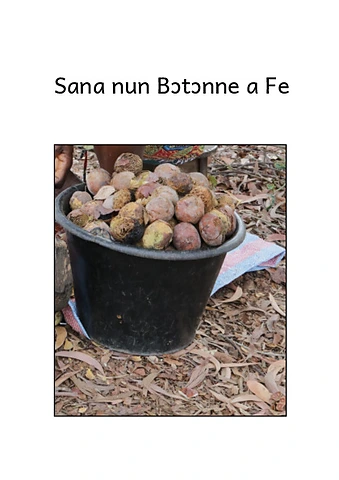 Sana nun Bɔtɔnne a Fe