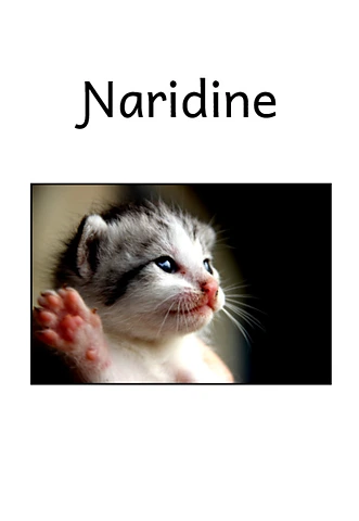 My Cat
